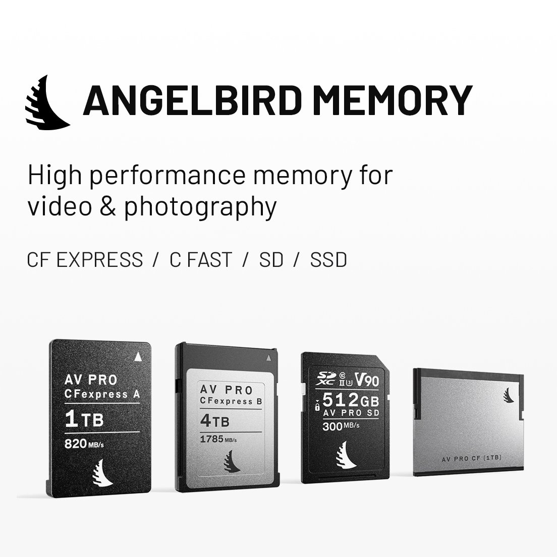 Angelbird High-performance CFexpress Memory Cards, SDXC and Micro SD for professionals